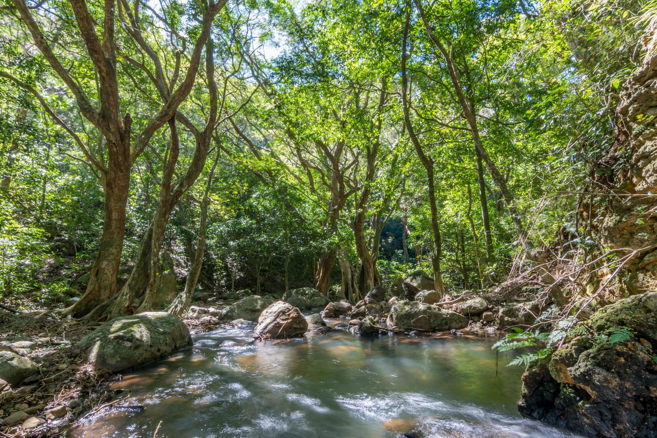 Rinconcito Lodge Hacienda Santa Maria Екстер'єр фото
